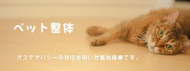 ペット整体